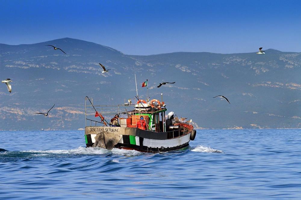 Duplexdubocage Setúbal Dış mekan fotoğraf